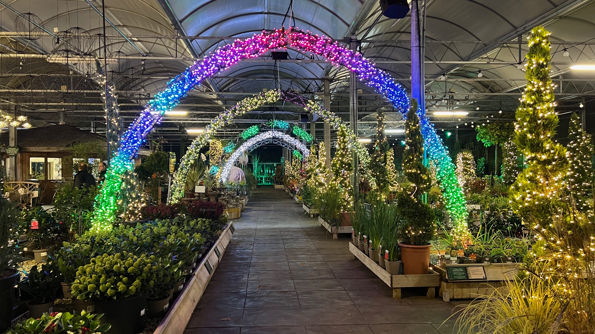 Christmas lighting installation at Barton Grange Garden Centre