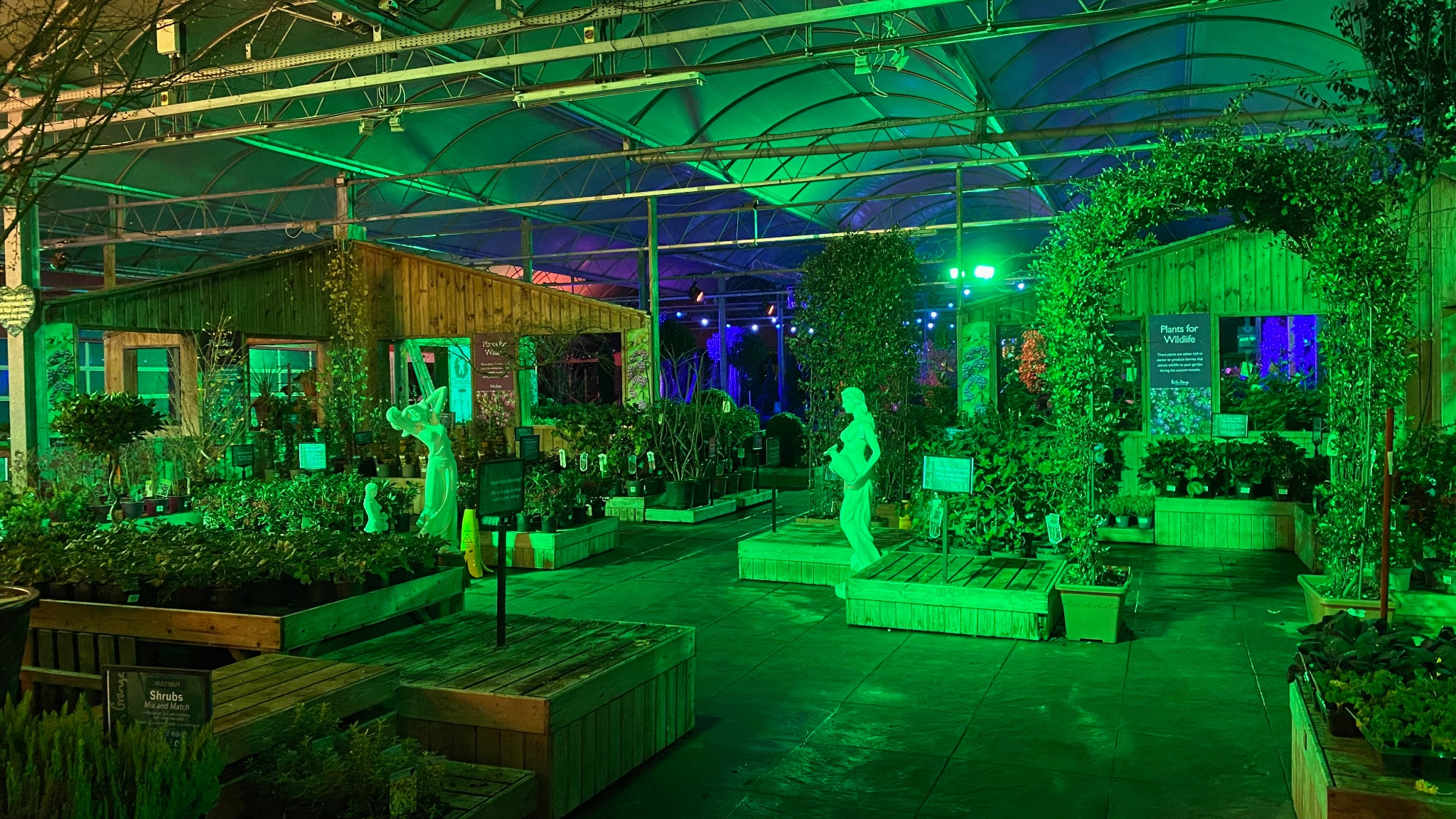 Wide view of the seasonal lighting installation at Barton Grange